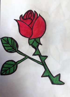 نقاشی های امیدبخش ثنا شوهانی بعد از عمل پیوند قلب در مرکز قلب و عروق شهید رجایی: عکس شماره 11 / 12